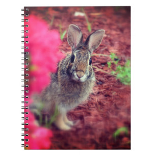 Caderno Espiral Pardon me Diário da espiral do coelho