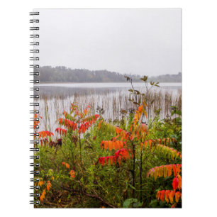 Caderno Espiral Parque Estadual de Itasca Minnesota