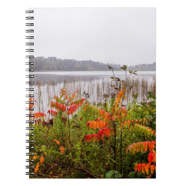 Caderno Espiral Parque Estadual de Itasca | Minnesota (Frente)