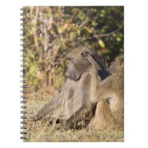 Caderno Espiral Parque nacional de Kruger, África do Sul