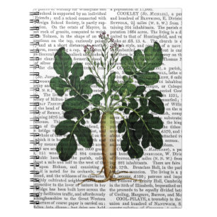 Caderno Espiral Parsnip 3