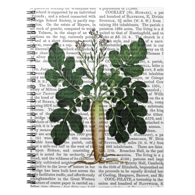 Caderno Espiral Parsnip 3 (Frente)