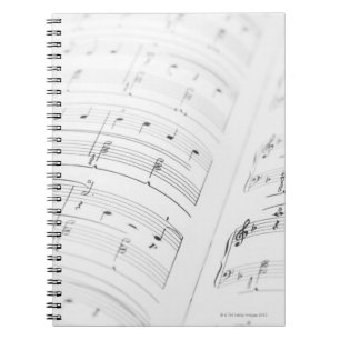 Caderno Espiral Partitura detalhada 3