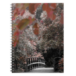 Caderno Espiral Passagem De Ponte Na Fotografia Da Natureza