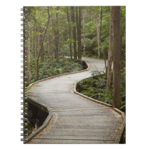 Caderno Espiral Passarela para Nelson Falls, Franklin - Gordon