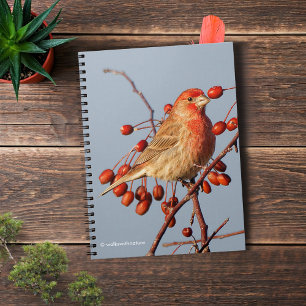 Caderno Espiral Passarinho de casa com bagas do Hawthorn