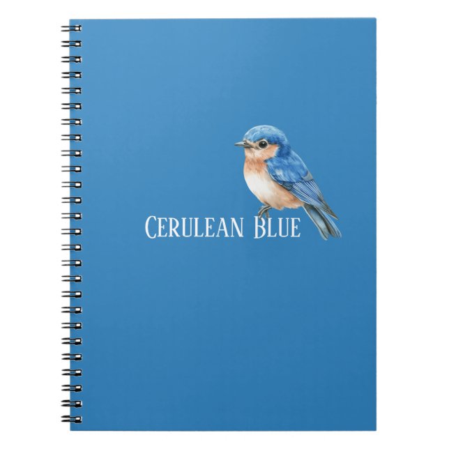 Caderno Espiral Passaro Azul Celeste (Frente)