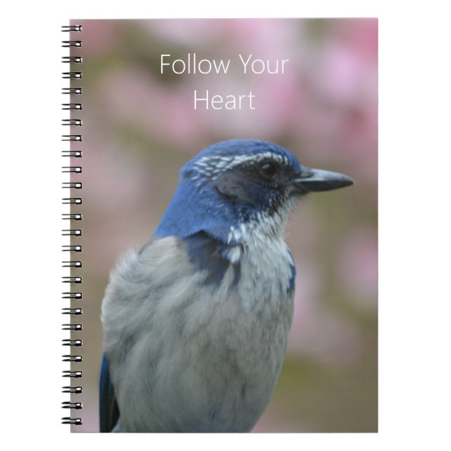 Caderno Espiral Pássaro Azul (minha fotografia) (Frente)