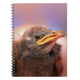 Caderno Espiral Pássaro bebê