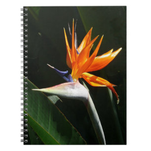 Caderno Espiral Pássaro da Flor Tropical Laranja do Paraíso