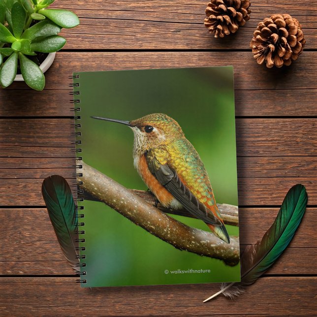 Caderno Espiral Pássaro Humm Rufo e Atormentante nas Vinhas Gêmeas (Stunning Rufous Hummingbird on Twining Vines Journal Cover Photo)