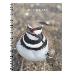 Caderno Espiral Pássaro Killdeer (minha fotografia)