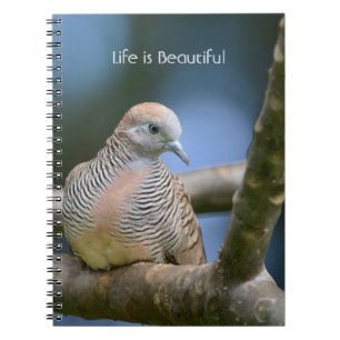 Caderno Espiral Pássaro na Árvore Kauai (minha fotografia)
