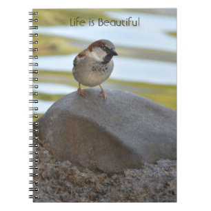 Caderno Espiral Pássaro na Rocha Kauai (minha fotografia)
