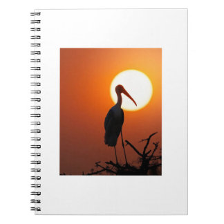 Caderno Espiral Pássaro Sunset na Ramificação - Nature Wall Art