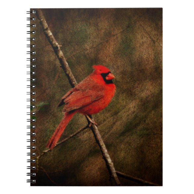 Caderno Espiral Pássaro vermelho (Frente)