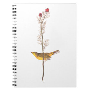Caderno Espiral Pássaro Warbler Hooded de Audubon na Flor Vermelh