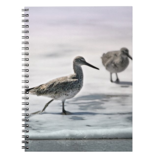 Caderno Espiral Pássaros (Frente)