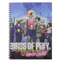 Pássaros da presa: uma Poster de fantasia de penas