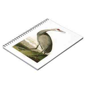Caderno Espiral Pássaros de John James Audubon do guindaste de