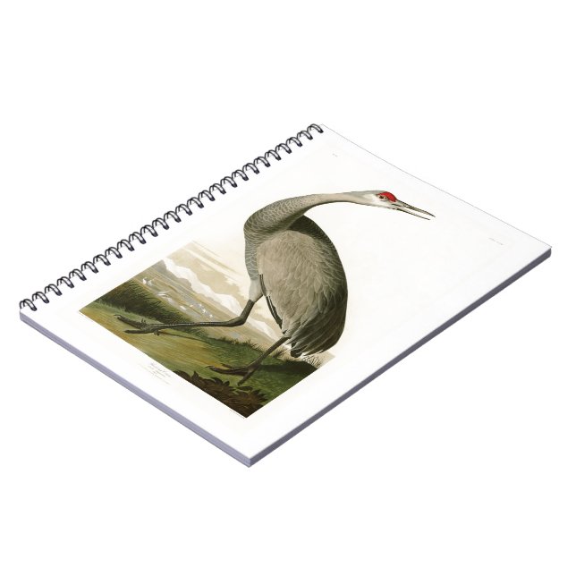 Caderno Espiral Pássaros de John James Audubon do guindaste de (Left Side)