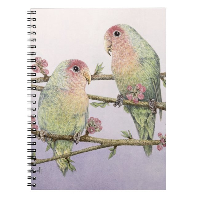 Caderno Espiral Pássaros do amor (Frente)