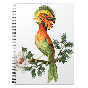 Caderno Espiral Pássaros do Paraíso: Fundo Floral Exótico