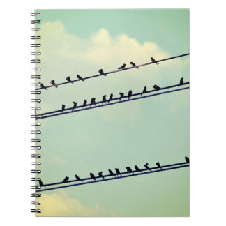 Caderno Espiral Pássaros em fios, céu azul antigo.