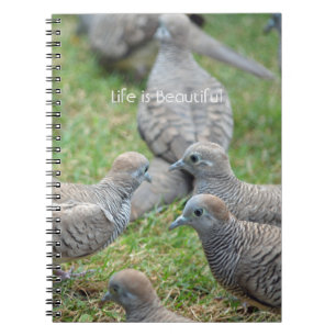Caderno Espiral Pássaros Kauai (minha fotografia)