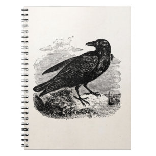Caderno Espiral Pássaros personalizados corvo do pássaro do pret