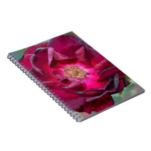 Caderno Espiral Passion Burgandy Flower
