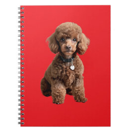 Caderno Espiral  Pasta de Cachorro de Xícara Fofa Pasta Vermelha