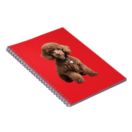 Caderno Espiral  Pasta de Cachorro de Xícara Fofa Pasta Vermelha