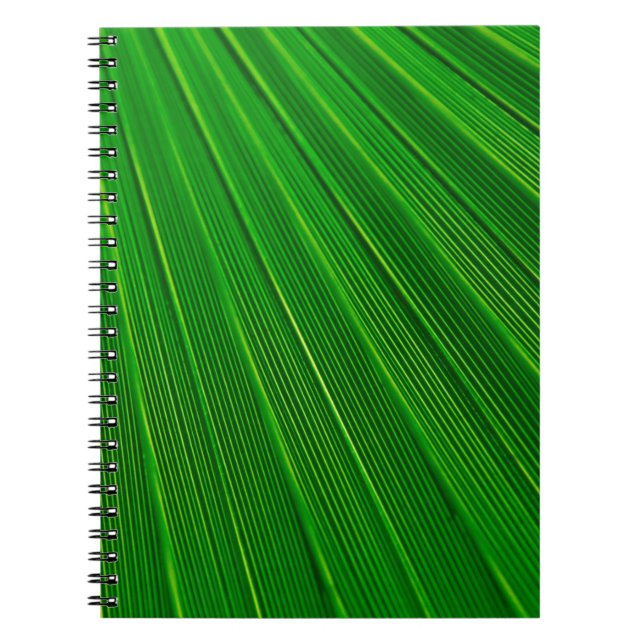 Caderno Espiral Pasta de folhas de fundo verde (Frente)