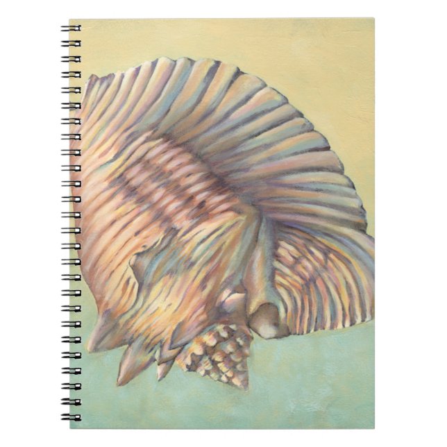 Caderno Espiral Pastel Grande Shell de Conch (Frente)