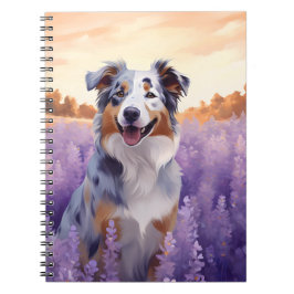 Caderno Espiral Pastor australiano em campo de Lavanda