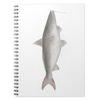 Caderno Espiral Pati