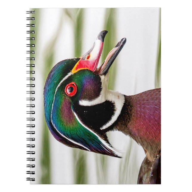 Caderno Espiral Pato de Madeira (Frente)