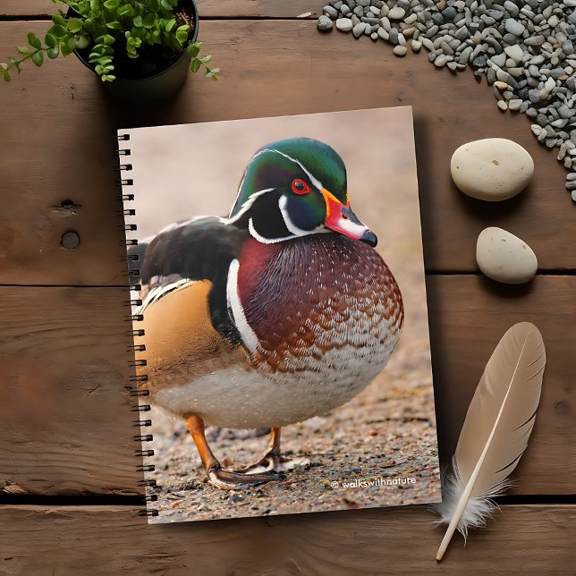 Caderno Espiral Pato de madeira em gravel (Wood Duck on Gravel Journal Cover Photo)
