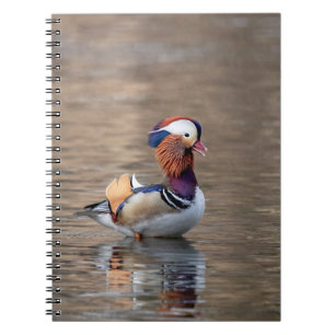Caderno Espiral Pato de Mandarim