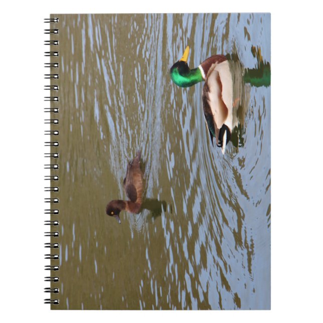Caderno Espiral Pato-macaco e pato-tufado num rio (Frente)