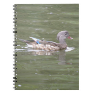 Caderno Espiral Pato no notebook lago