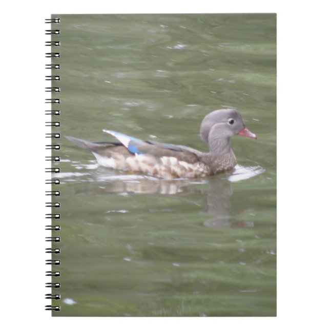 Caderno Espiral Pato no notebook lago (Frente)