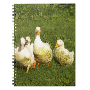 Caderno Espiral patos, vivos, prados, animais, fazendas, vida no c