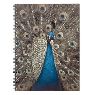 Caderno Espiral Pavão Azul Antiquado