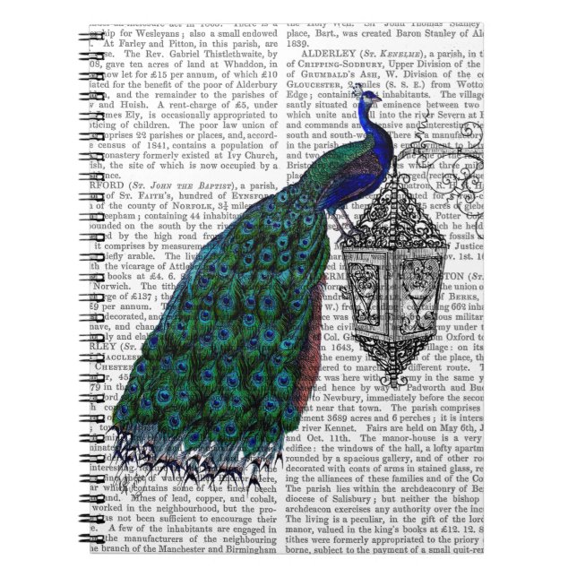 Caderno Espiral Pavão na lâmpada (Frente)