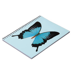 Caderno Espiral Pavão Real