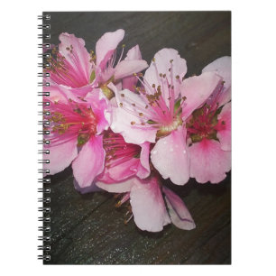 Caderno Espiral Peach Blossoms