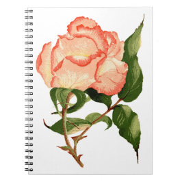 Caderno Espiral Peach rosa botânica aqucolor