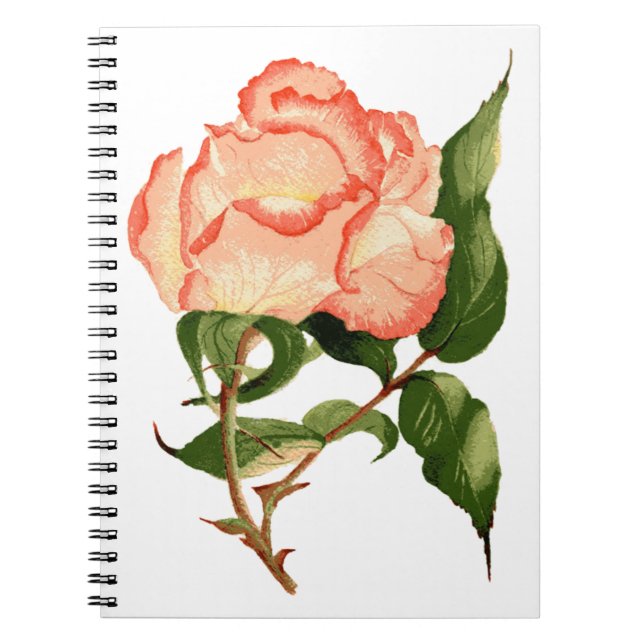 Caderno Espiral Peach rosa botânica aqucolor (Frente)